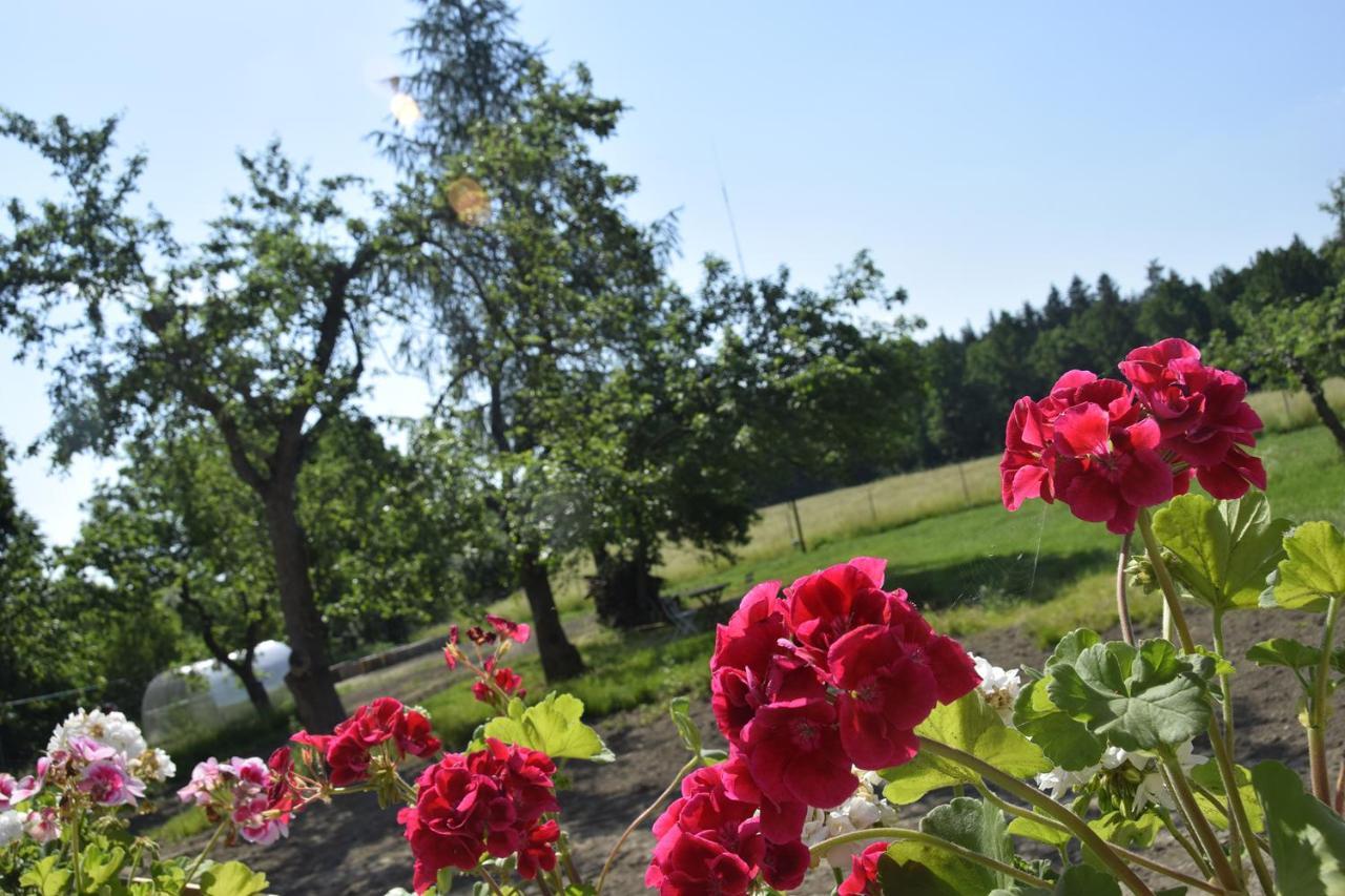 Nowa Kamienica 11 Villa Stara Kamienica Kültér fotó