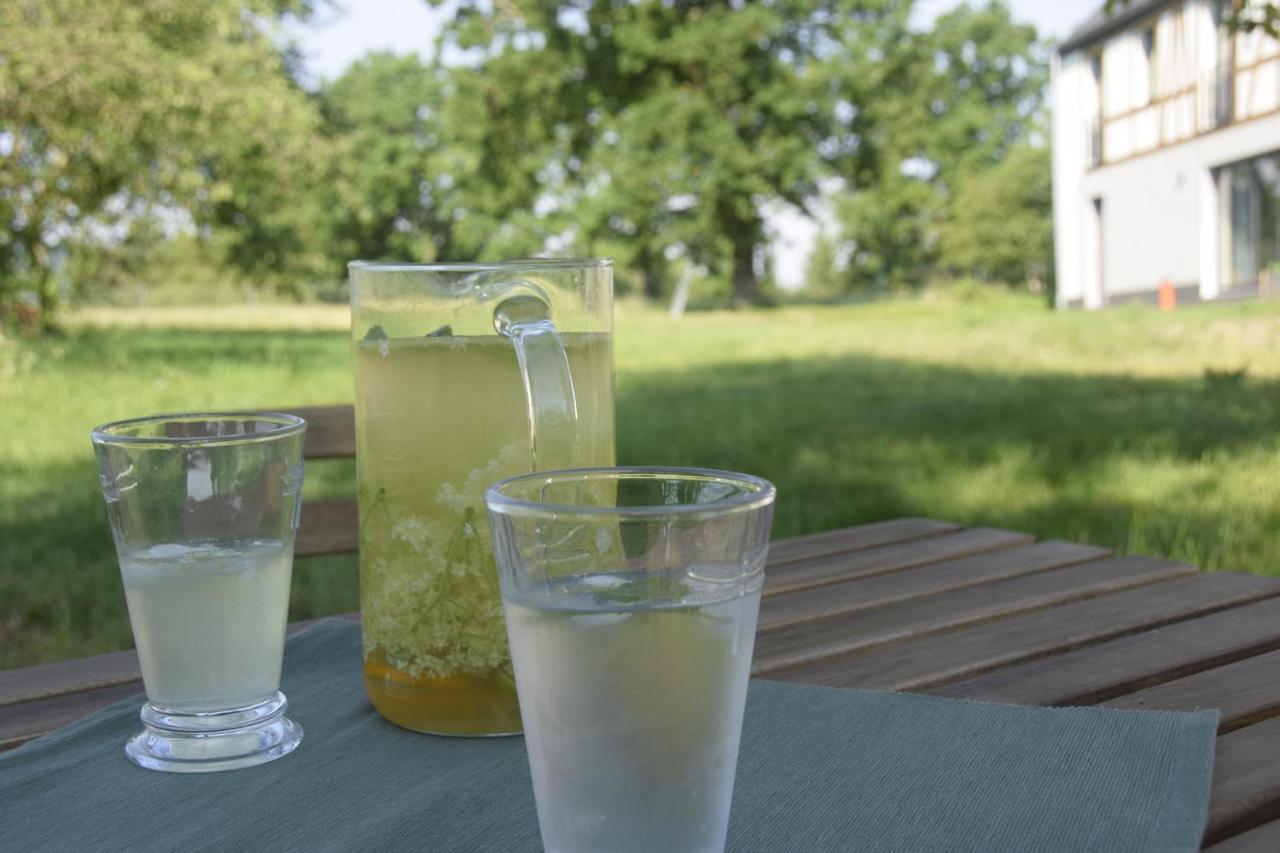 Nowa Kamienica 11 Villa Stara Kamienica Kültér fotó