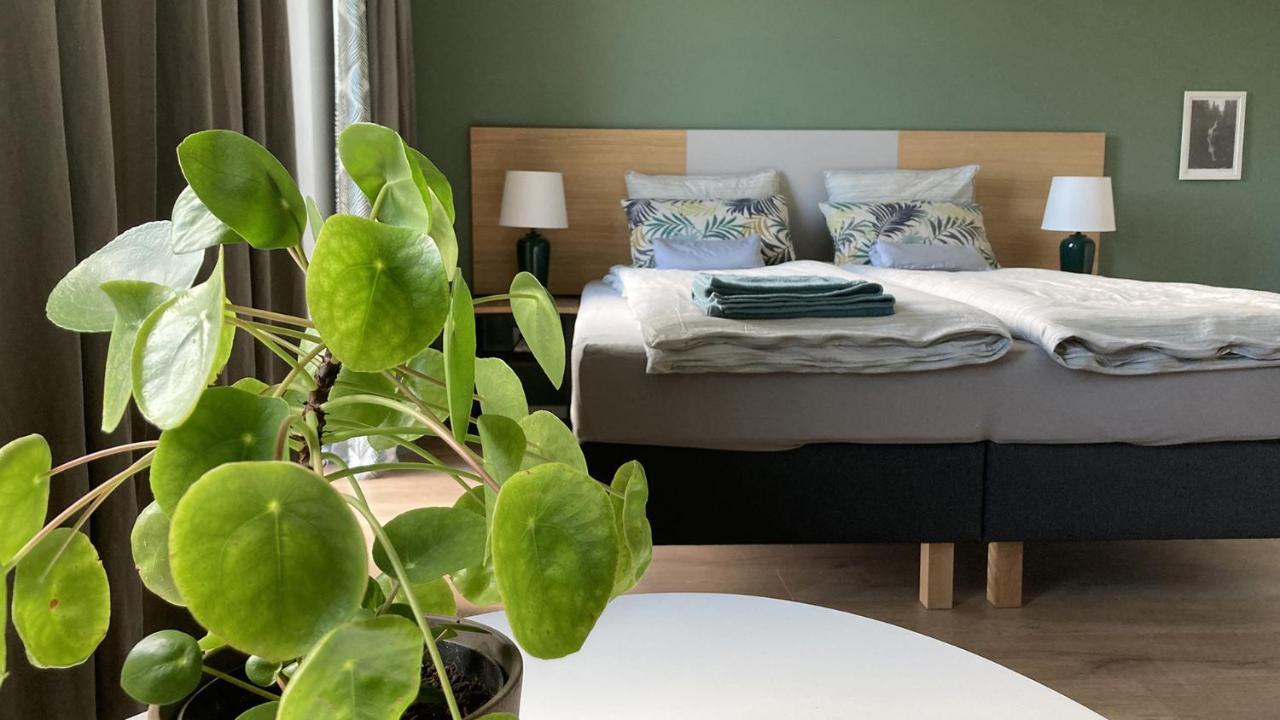 Nowa Kamienica 11 Villa Stara Kamienica Kültér fotó